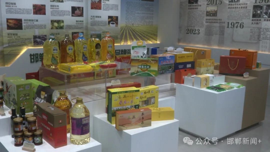 2024年邯郸市“庆丰收促消费”名优特农产品博览会成功举办，优质农产品零售助力乡村振兴