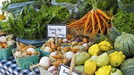 农产品零售与批发 知名企业的市场策略与行业影响