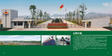 宜宾画册设计与农产品包装的艺术融合 从设计效果图看品牌升级