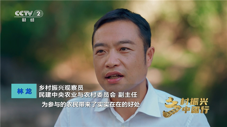 央视镜头下，鸣鸣很忙如何把乡村好物卖爆全国 突破农产品零售瓶颈的城乡产业协同样板