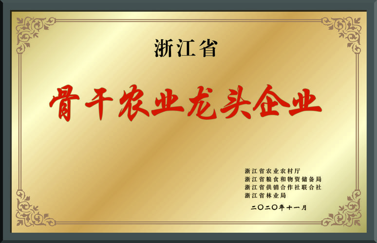 农产品批发零售一体化经营策略与实践指南