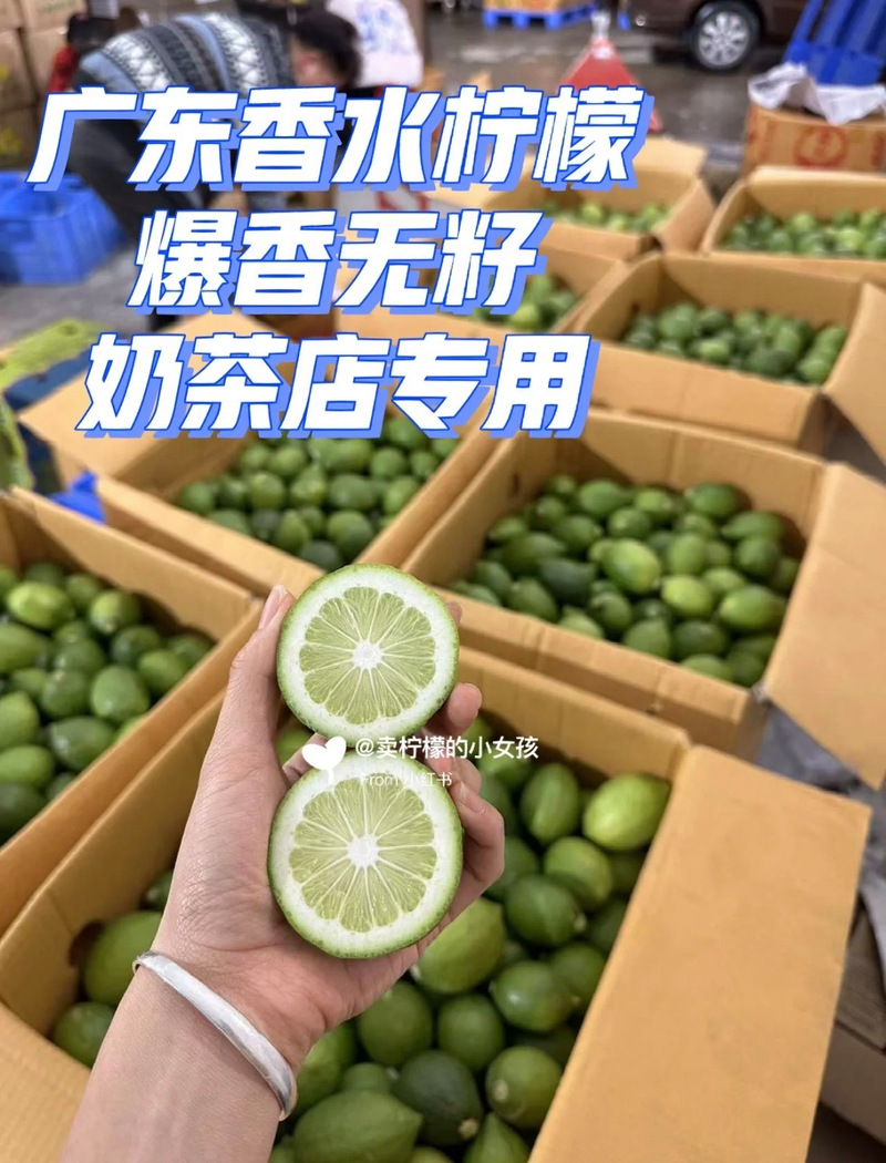 四季飘香的广东香水柠檬，手打柠檬茶的灵魂伴侣
